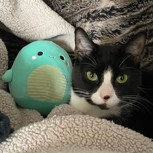 Meet your Posher, Kelsey